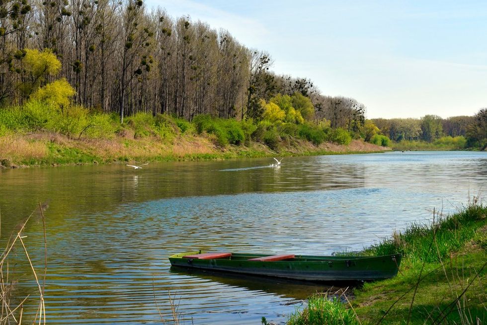 A Donau-Auen Nemzeti Park