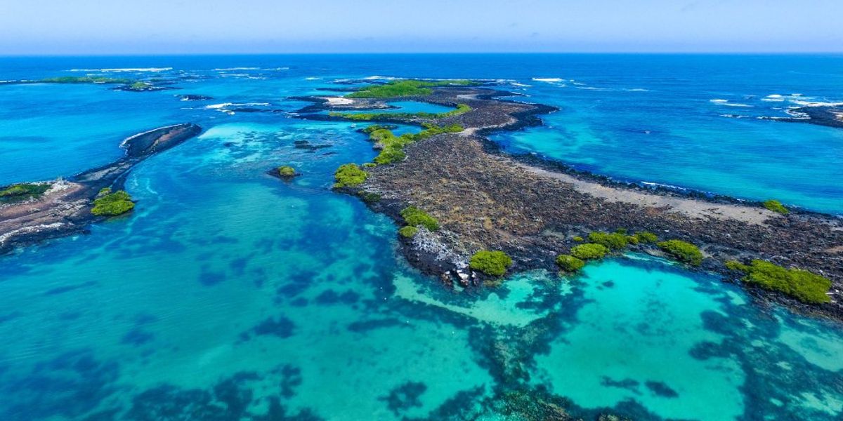 Galápagos-sziget