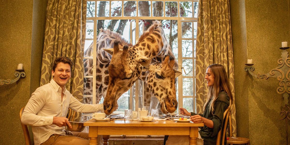 Raňajky so žirafami priamo v Afrike