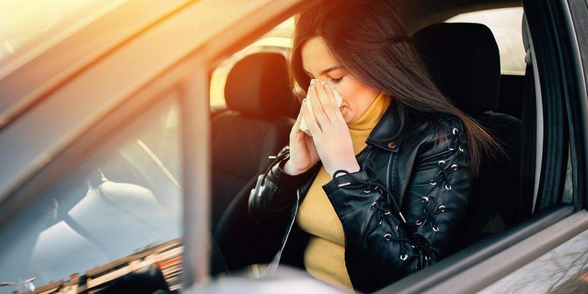 Peľový filter v aute: pomocník proti alergii