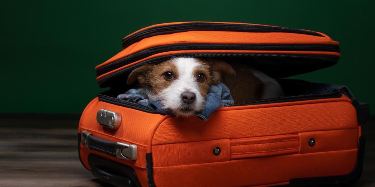 Mit tehetsz a bőröndbe, és mit ne tegyél?