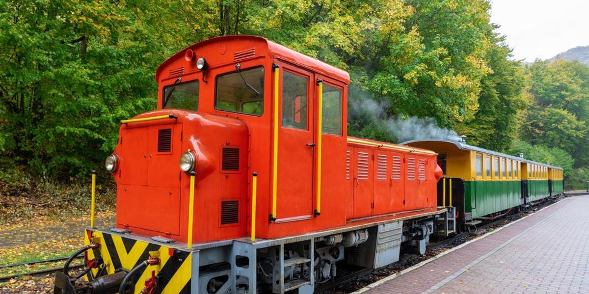 Lesné železnice v Maďarsku