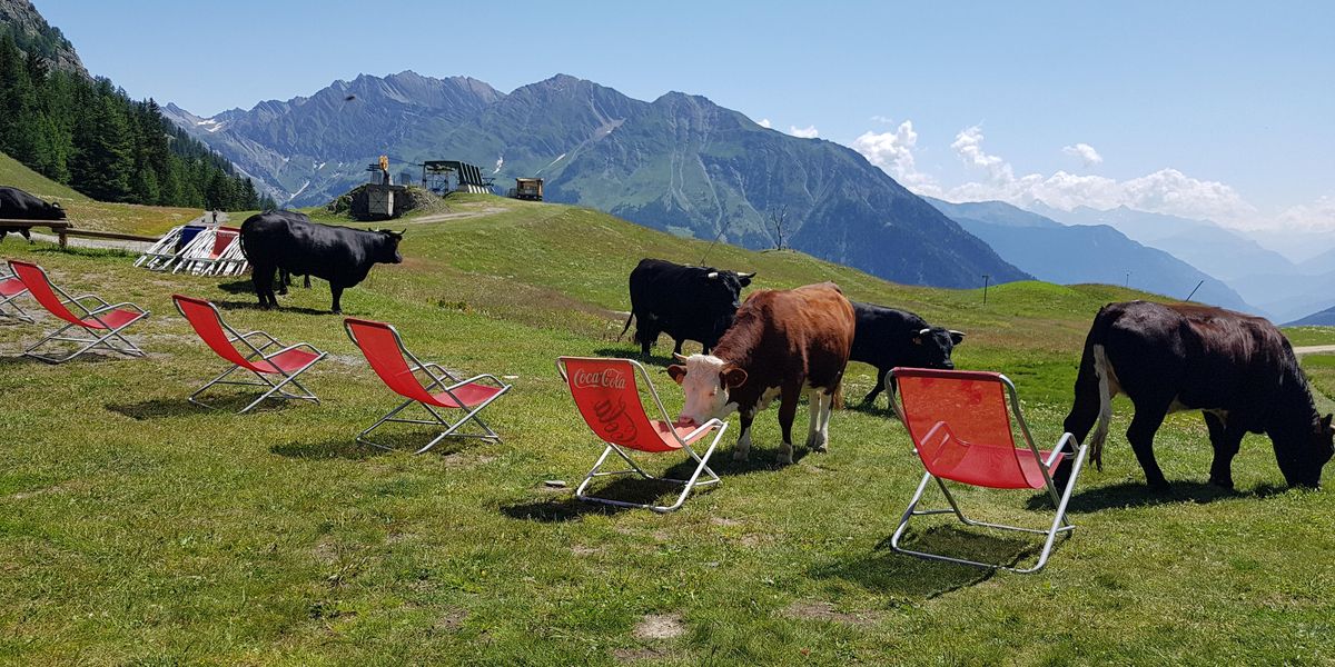 Tour de Mont Blanc: Itinerár na pohodlných 11 dní