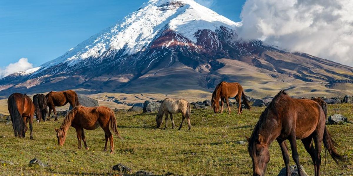 Ecuador szeretettel várja a digitális nomádokat