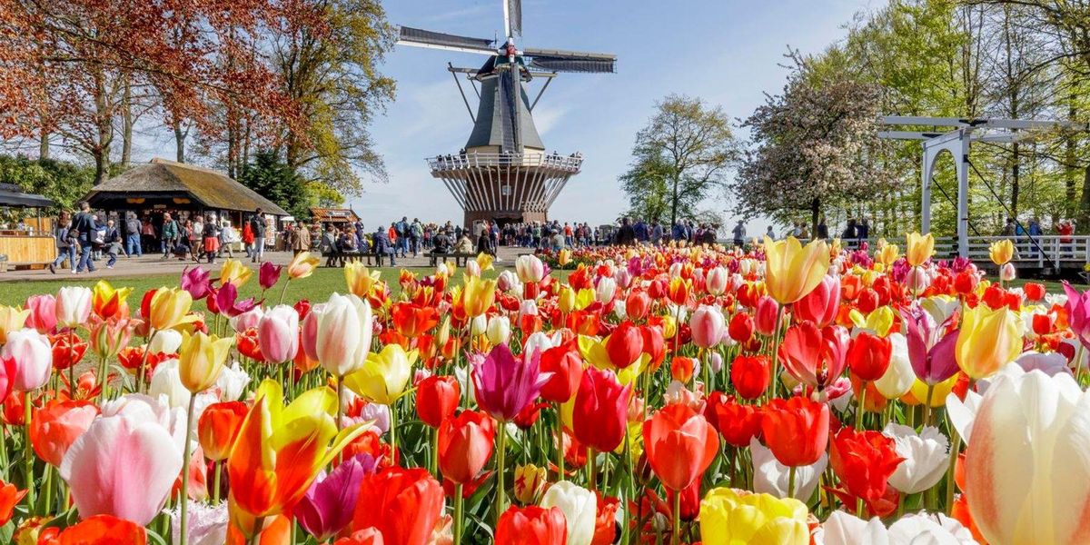 Holandský aprílový tulipánový turizmus