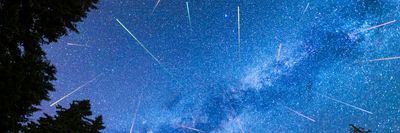 meteorzápor egy erdőből nézve