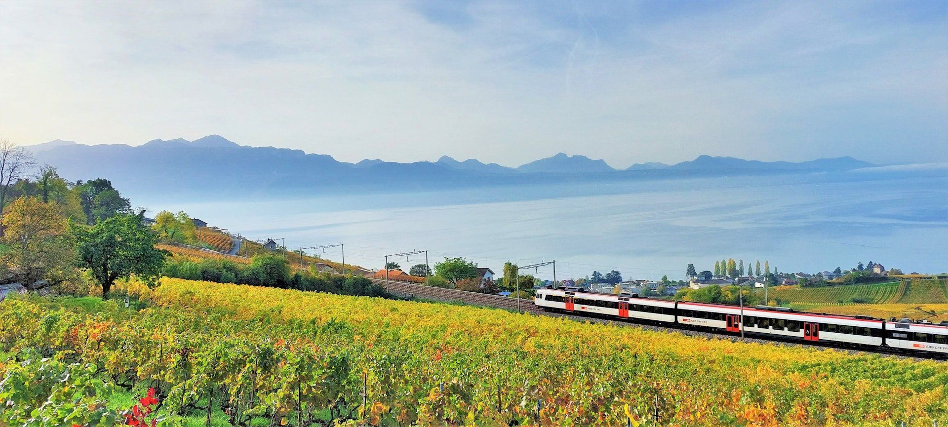 Svájci vidéken áthaladó vonat