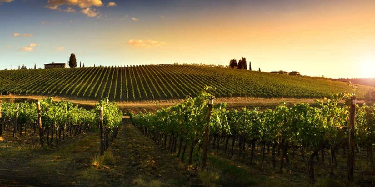 Ako chutilo víno, ktoré pili starovekí Rimania?