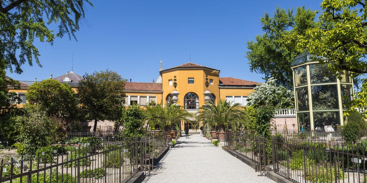 Najstaršia botanická záhrada sveta v talianskej Padove.