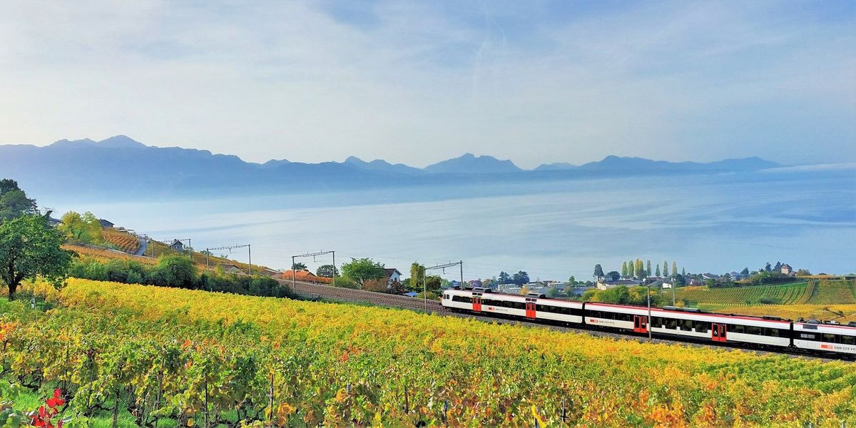 Svájci vidéken áthaladó vonat