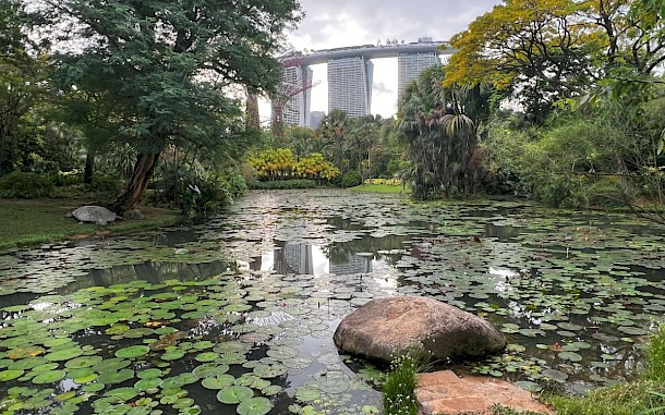 Drive Magaz&iacute;n Slovensko