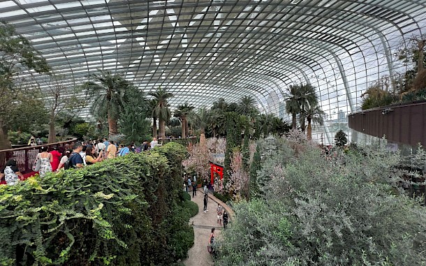 Drive Magaz&iacute;n Slovensko