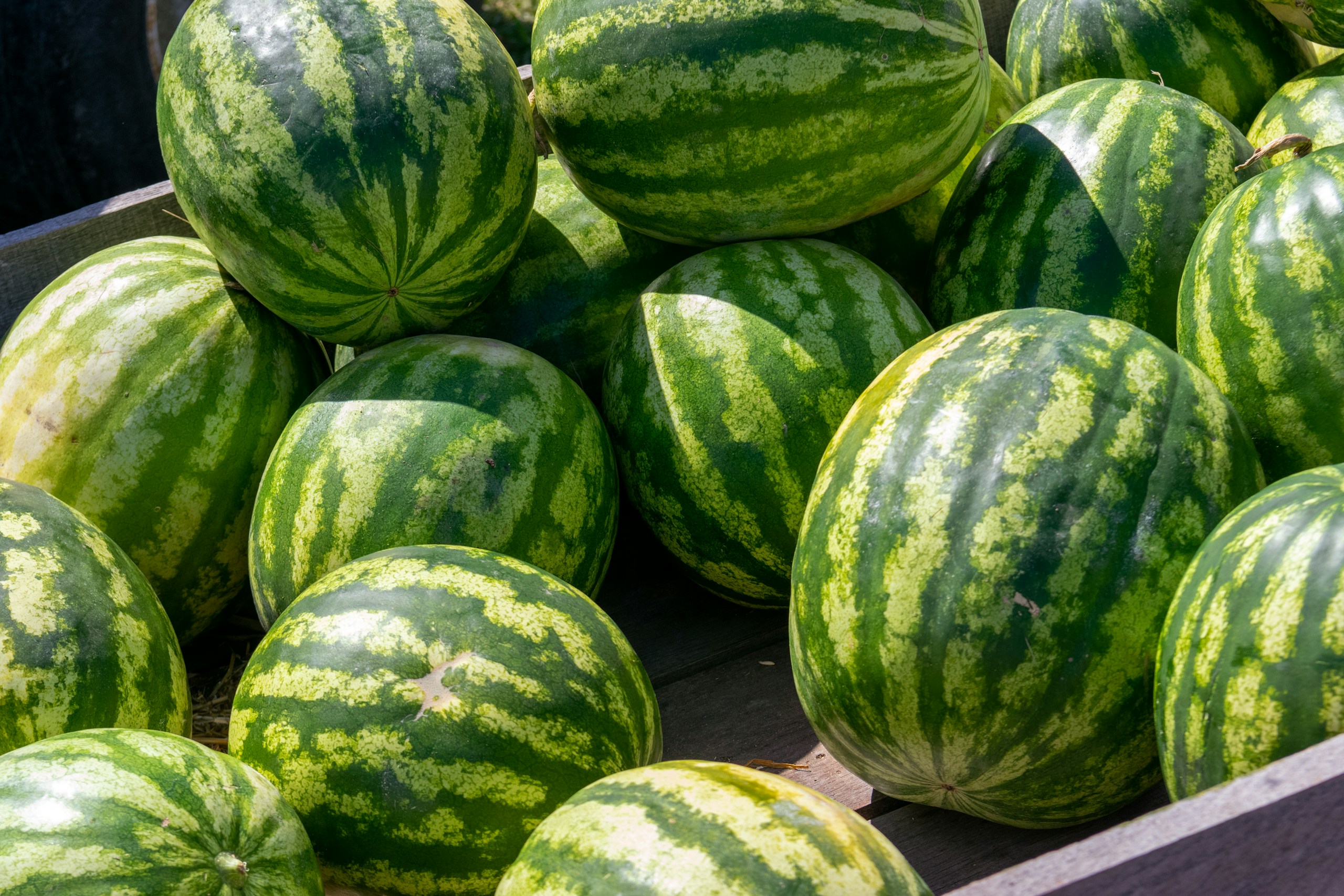 Ne dobd a kukába: szuper savanyúságot csinálhatsz a görögdinnye héjából