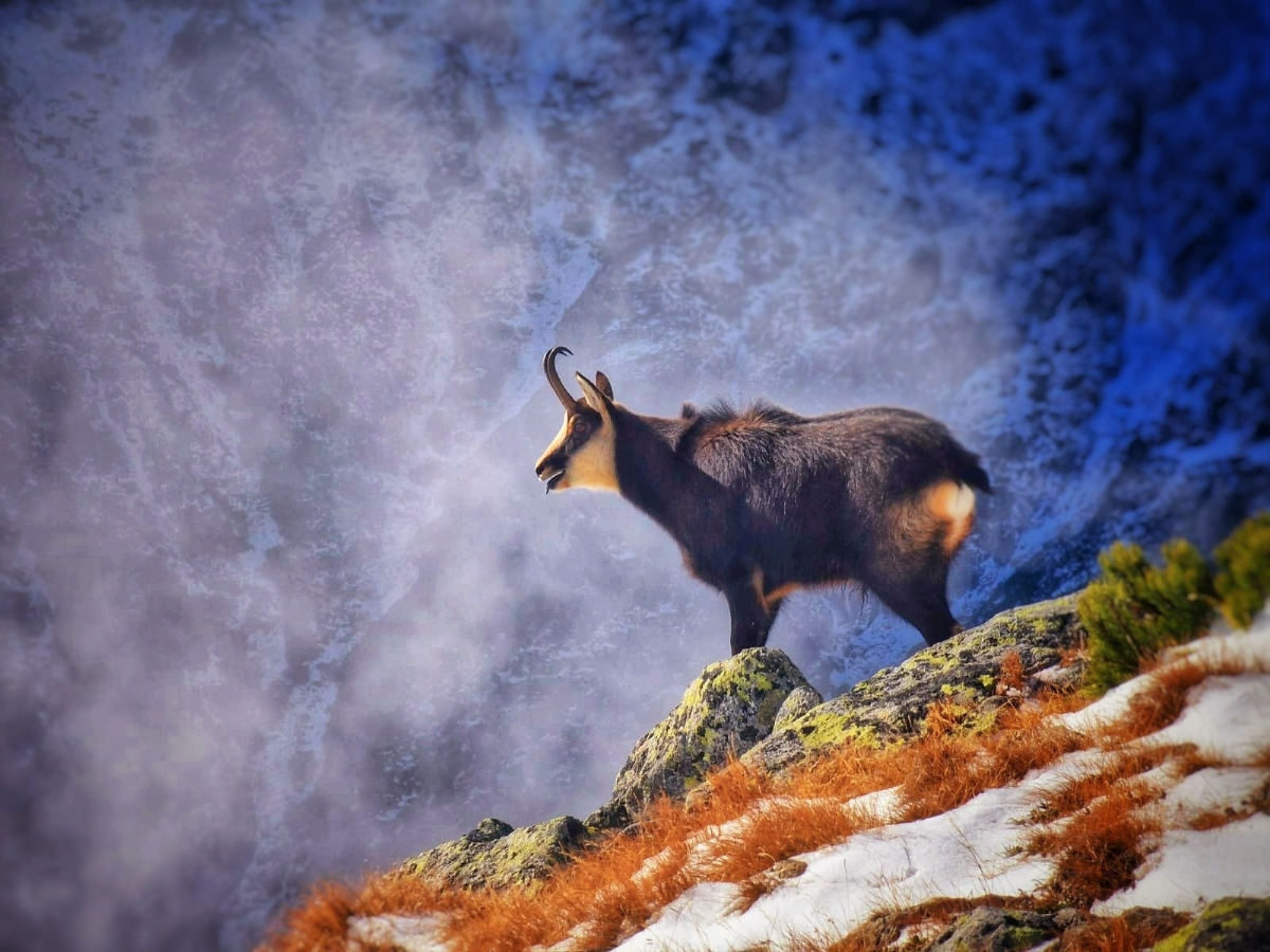 V Tatrách platí na sedem mesiacov zákaz turistiky, tu je zoznam uzavretých chodníkov