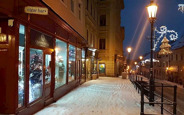 Oblastn&aacute; organiz&aacute;cia cestovn&eacute;ho ruchu Regi&oacute;n Bansk&aacute; &Scaron;tiavnica