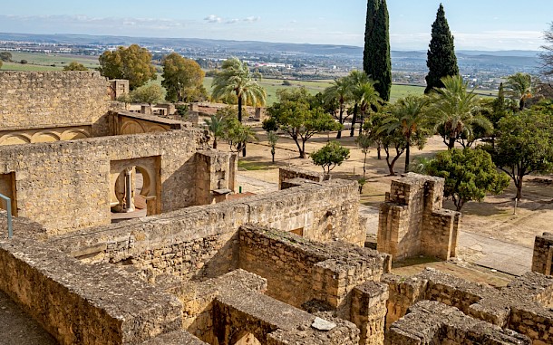 julia.mlozano/Shutterstock