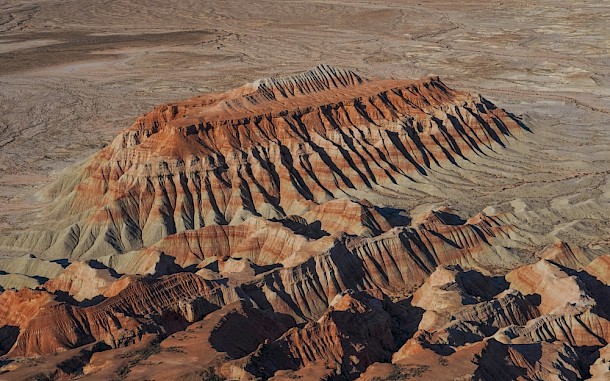 lotte grimberg / Shutterstock