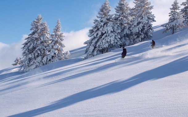 Discover Kalavrita