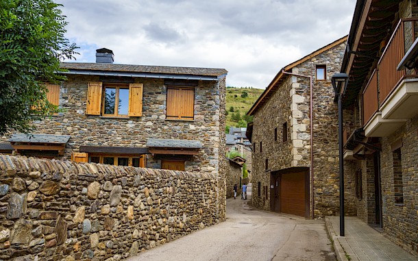 SerFF79 / Shutterstock