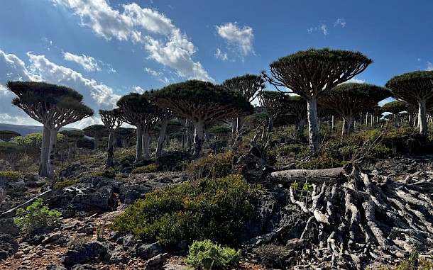 Drive Magazine Slovensko