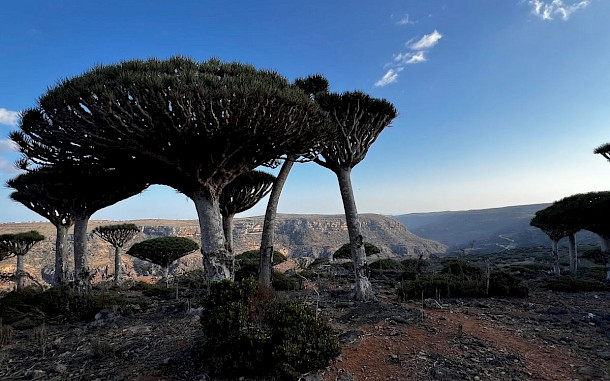 Drive Magazine Slovensko