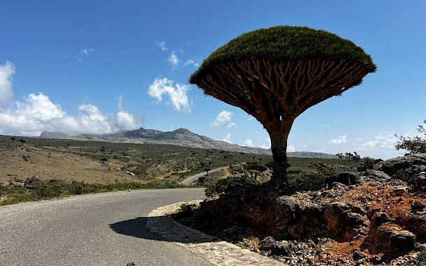 Drive Magazine Slovensko