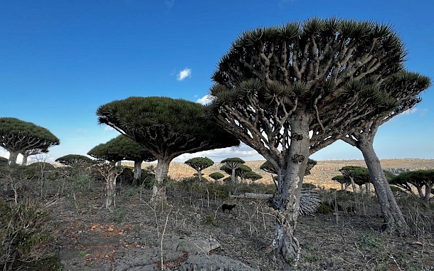 Drive Magazine Slovensko