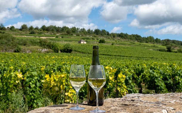 barmalini/Shutterstock