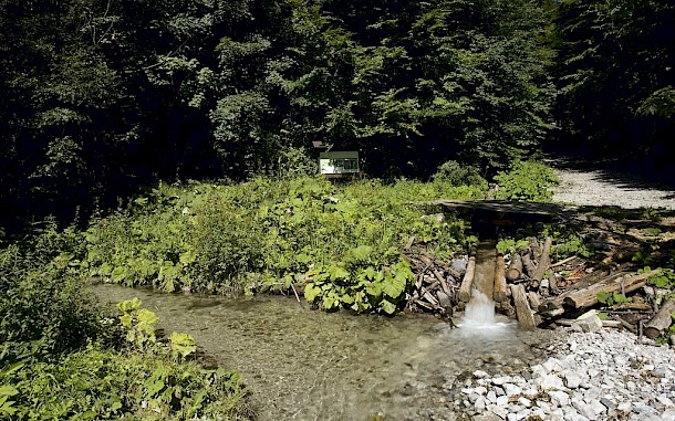 Mestsk&eacute; lesy Bansk&aacute; Bystrica