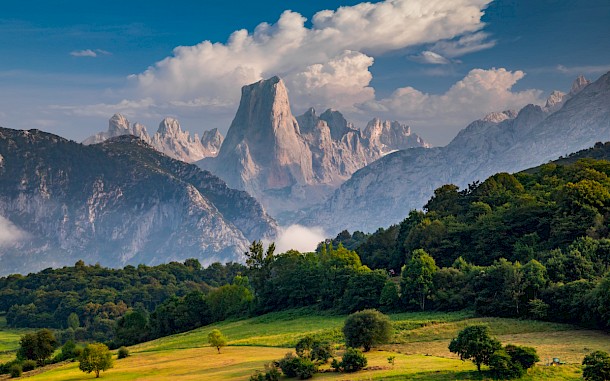 fogcatcher, Shutterstock