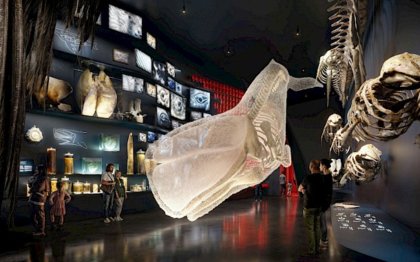 The Whale AS