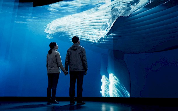 The Whale AS