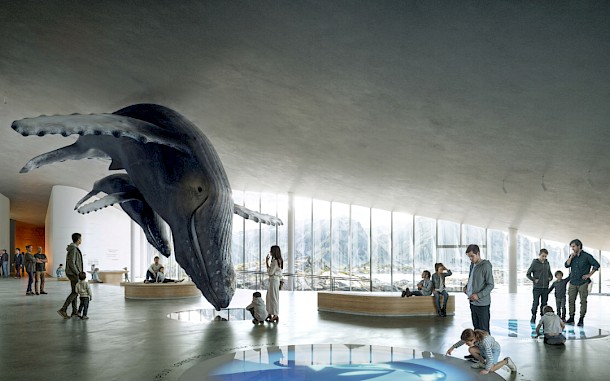 The Whale AS