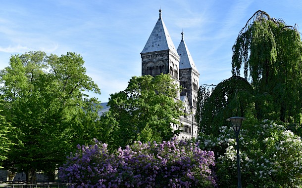 JWake, Shutterstock