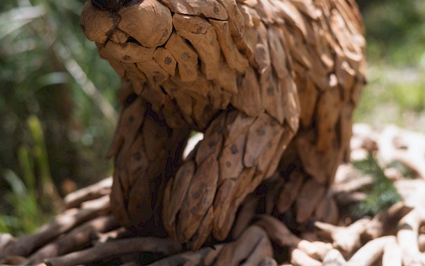 Woodlandia