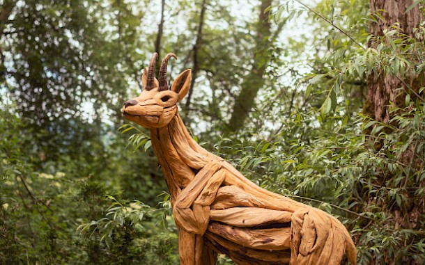 Woodlandia