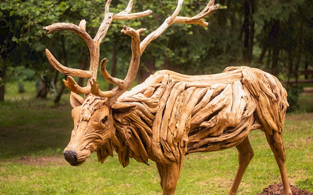 Woodlandia