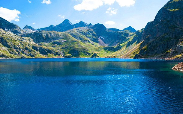 Begir, Shutterstock