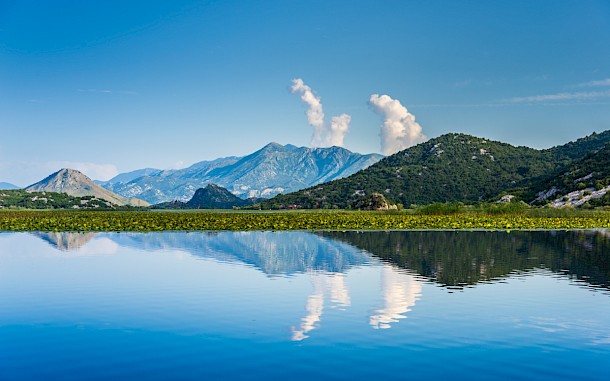 A_Mikhail, Shutterstock