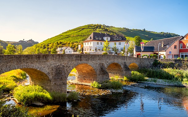 Iryna Shpulak, Shutterstock