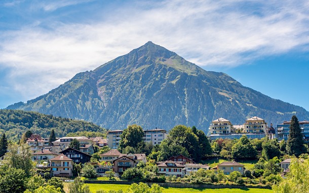 Plam Petrov, Shutterstock