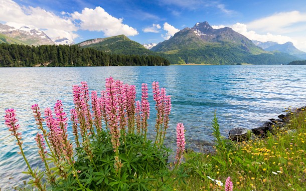 Robert Harding Video, Shutterstock