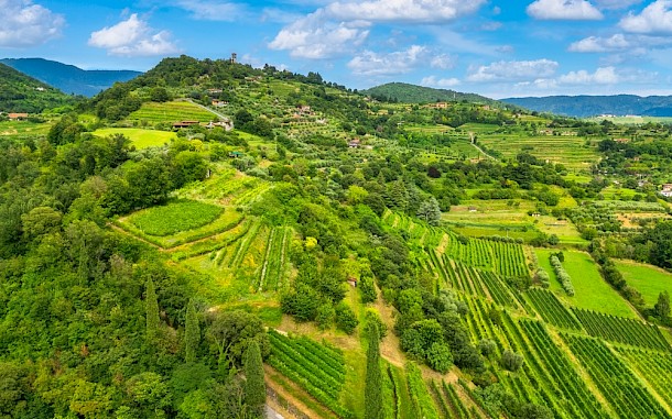 EyesTravelling/Shutterstock