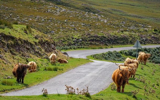 David Fitzell/Shutterstock
