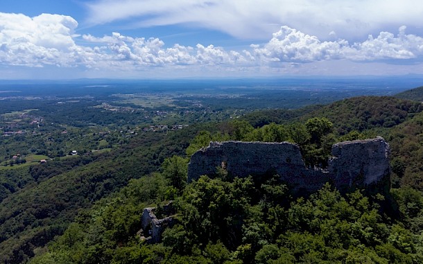 Zoran Pajic / Shutterstock