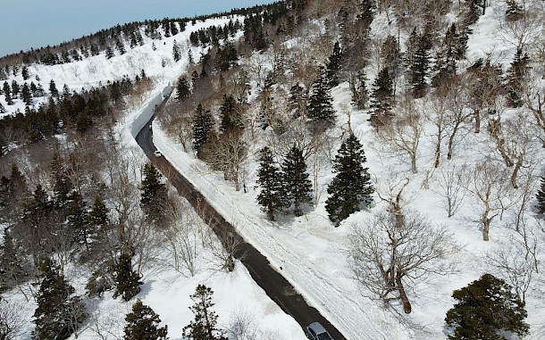 らんで / Wikimedia Commons / CC BY 4.0