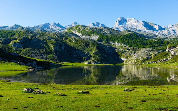 BearFotos, Shutterstock