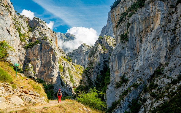 Florian Augustin, Shutterstock