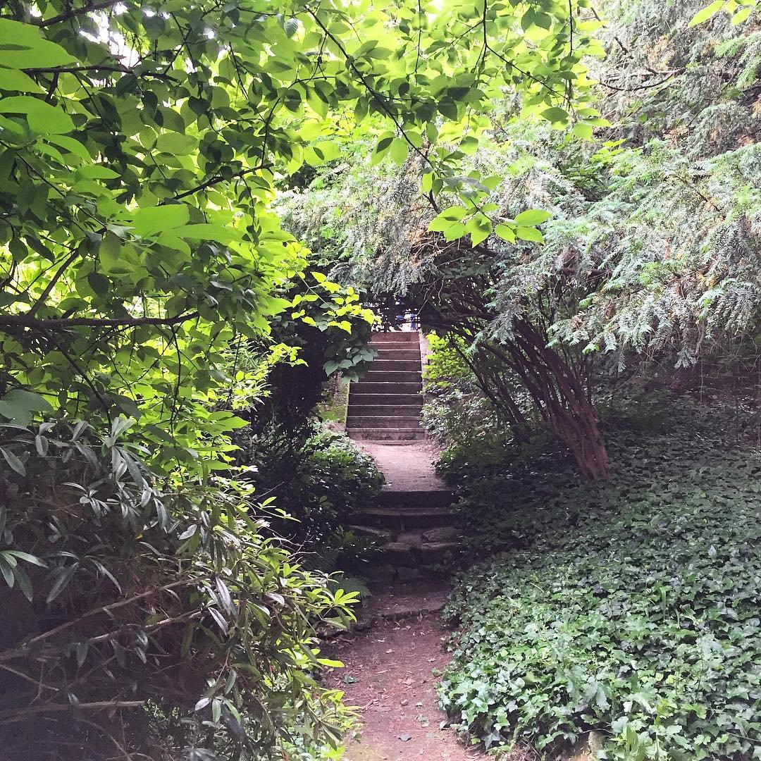 Hamarosan újra látogatható lesz Pozsony történelmi kertje