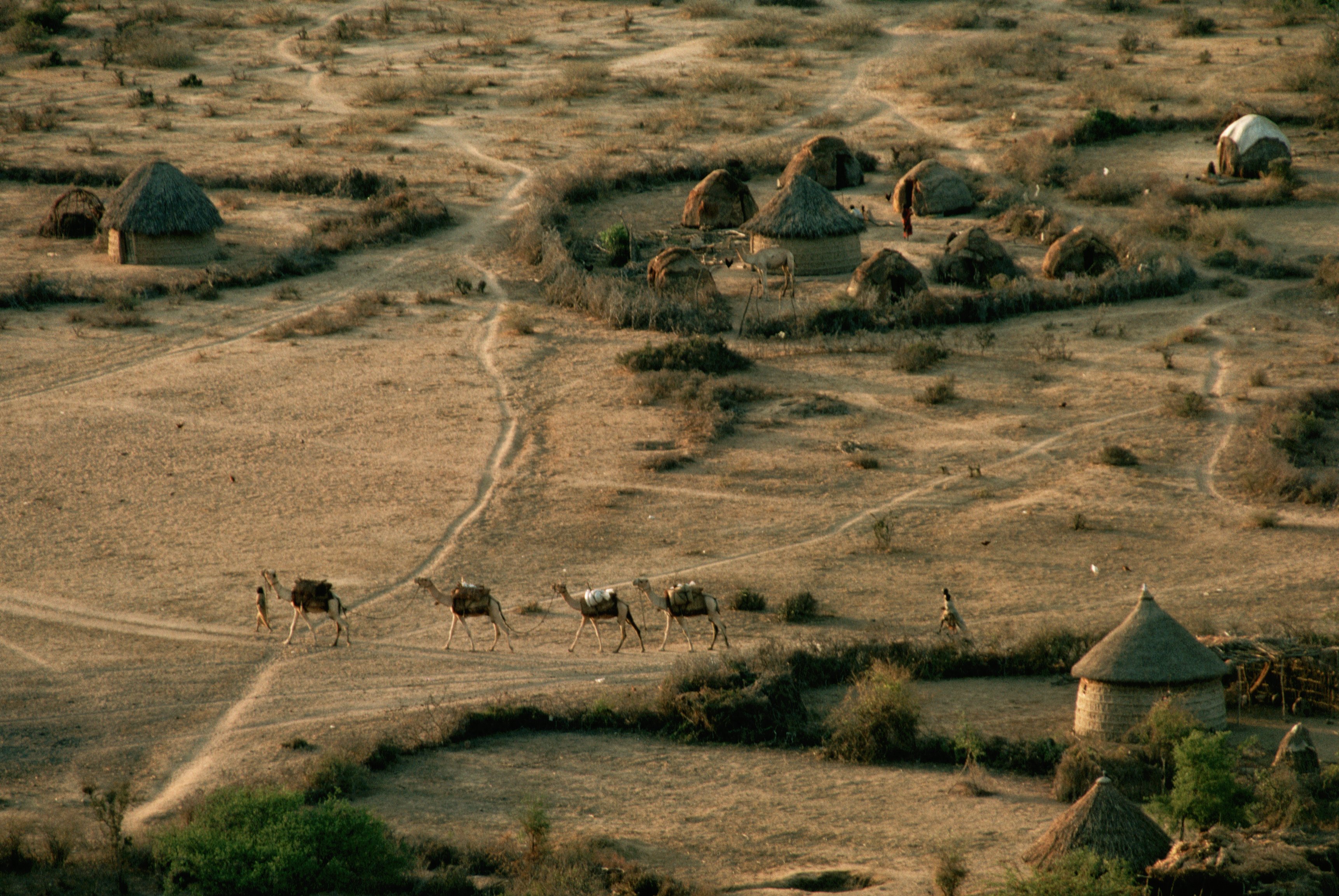 Ezek a világ legveszélyesebb országai – Megnézheted egy interaktív térképen